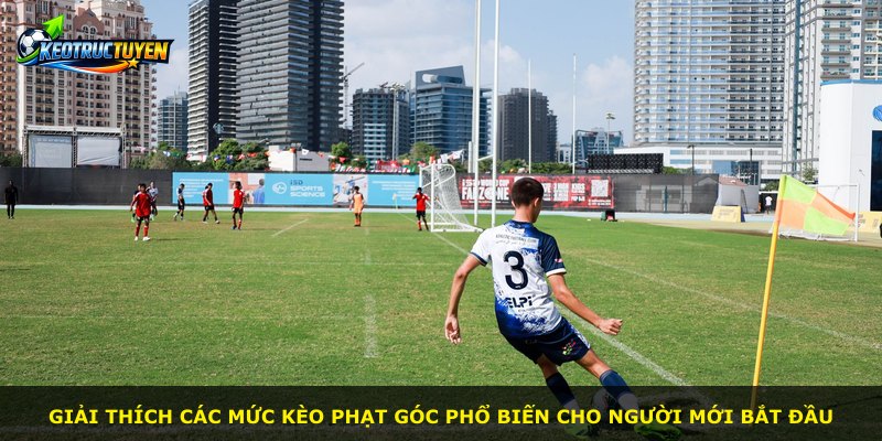 Giải thích các mức kèo phạt góc phổ biến cho người mới bắt đầu
