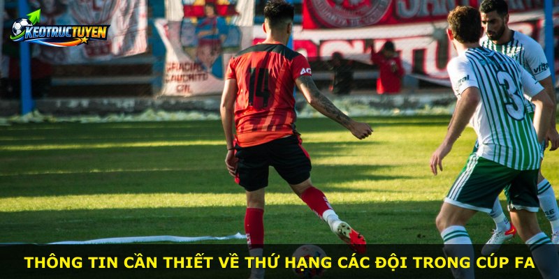 Thông tin cần thiết về thứ hạng các đội trong Cúp FA