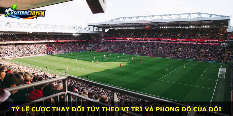 Tỷ lệ cược thay đổi tùy theo vị trí và phong độ của đội