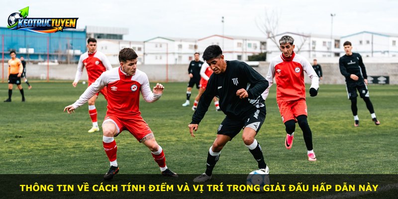 Thông tin về cách tính điểm và vị trí trong giải đấu hấp dẫn này