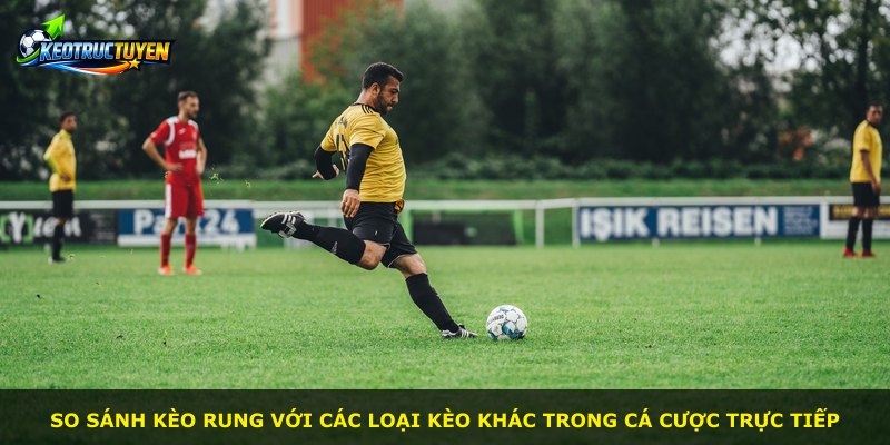 So sánh kèo rung với các loại kèo khác trong cá cược trực tiếp