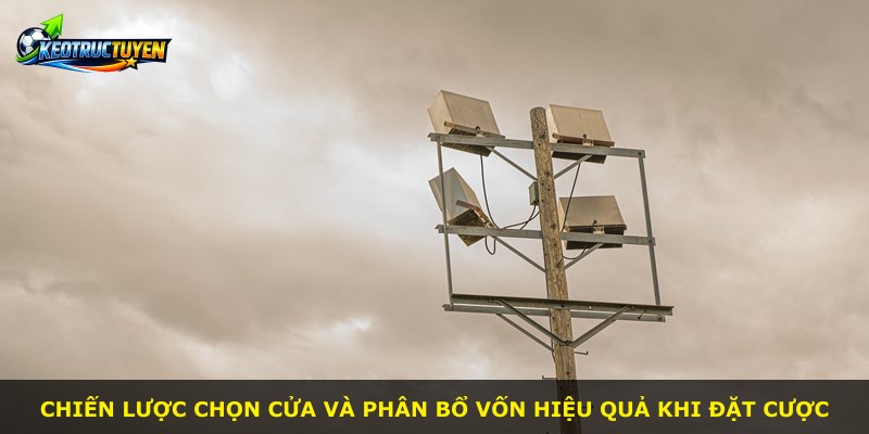Chiến lược chọn cửa và phân bổ vốn hiệu quả khi đặt cược