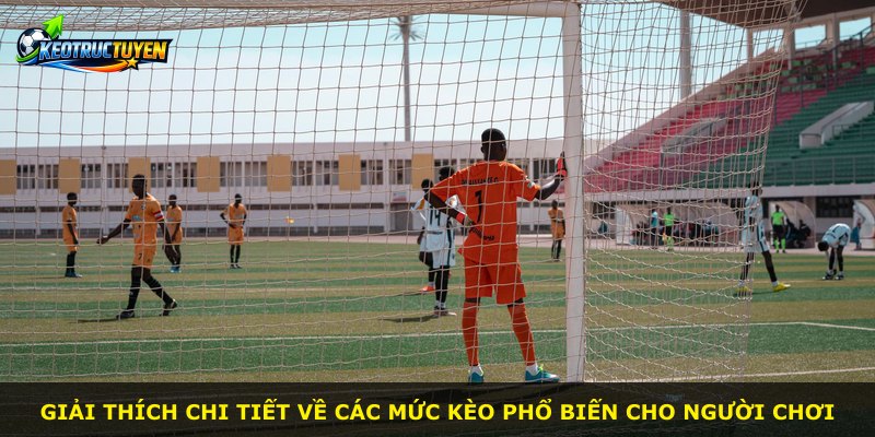 Giải thích chi tiết về các mức kèo phổ biến cho người chơi