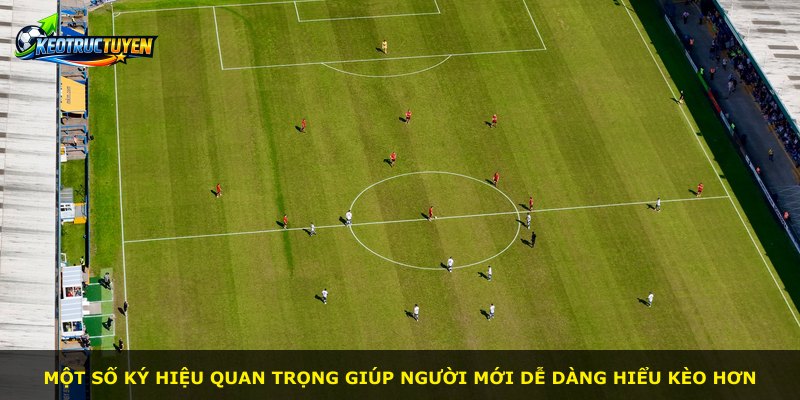 Một số ký hiệu quan trọng giúp người mới dễ dàng hiểu kèo hơn