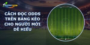 Cách Đọc Odds Trên Bảng Kèo