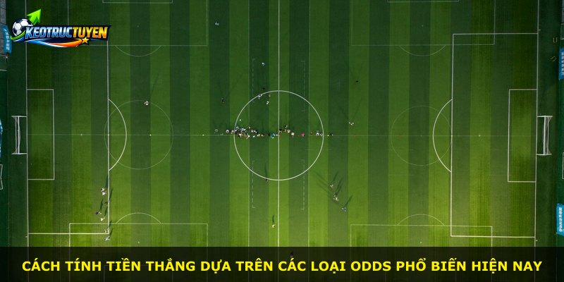 Cách tính tiền thắng dựa trên các loại odds phổ biến hiện nay