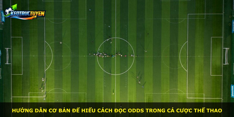 Hướng dẫn cơ bản để hiểu cách đọc odds trong cá cược thể thao