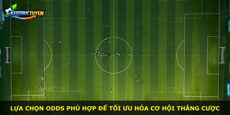 Lựa chọn odds phù hợp để tối ưu hóa cơ hội thắng cược