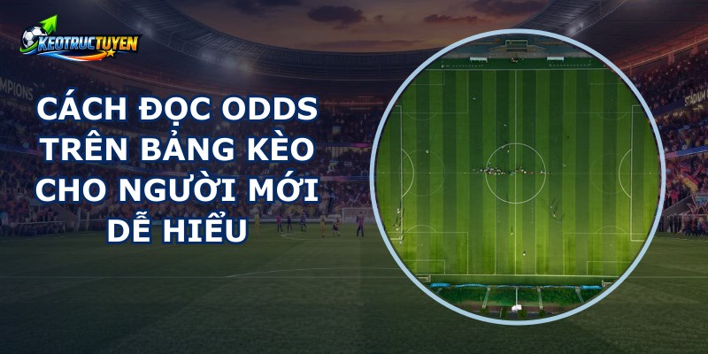 Cách Đọc Odds Trên Bảng Kèo