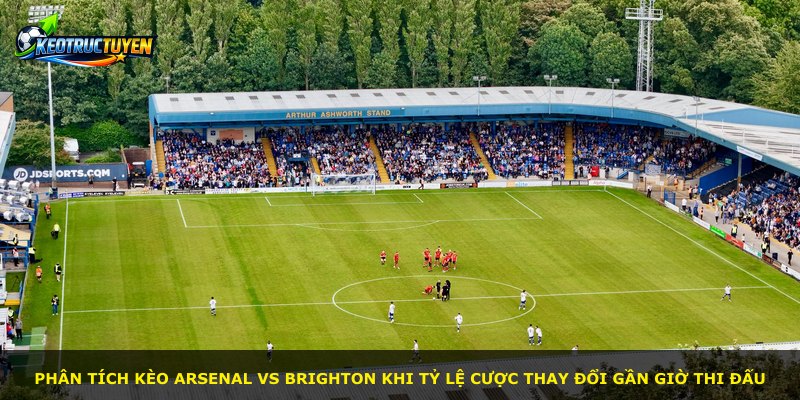 Phân tích kèo Arsenal vs Brighton khi tỷ lệ cược thay đổi gần giờ thi đấu