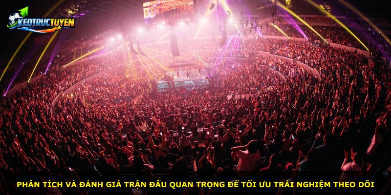 Phân tích và đánh giá trận đấu quan trọng để tối ưu trải nghiệm theo dõi