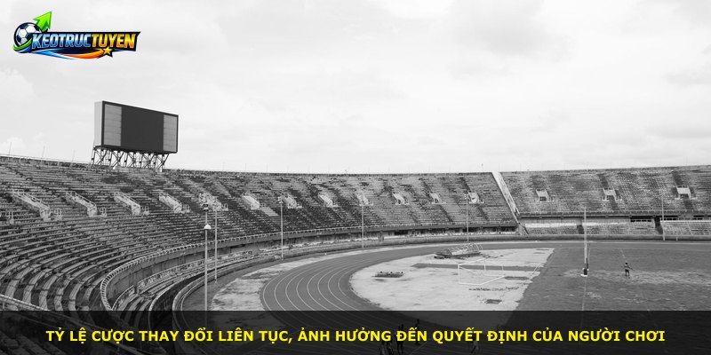 Tỷ lệ cược thay đổi liên tục, ảnh hưởng đến quyết định của người chơi