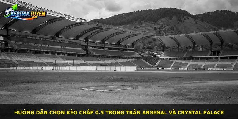 Hướng dẫn chọn kèo chấp 0.5 trong trận Arsenal và Crystal Palace