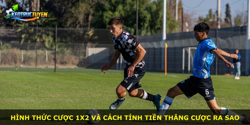 Hình thức cược 1x2 và cách tính tiền thắng cược ra sao