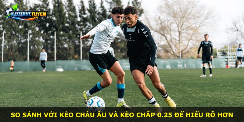 So sánh với kèo châu Âu và kèo chấp 0.25 để hiểu rõ hơn