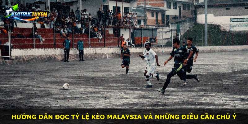 Hướng dẫn đọc tỷ lệ kèo Malaysia và những điều cần chú ý