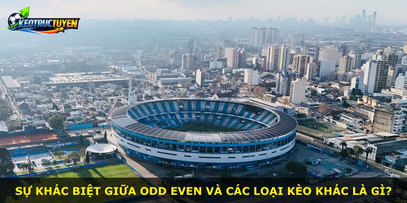 Sự khác biệt giữa Odd Even và các loại kèo khác là gì?