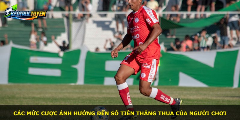 Các mức cược ảnh hưởng đến số tiền thắng thua của người chơi