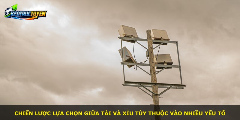 Chiến lược lựa chọn giữa Tài và Xỉu tùy thuộc vào nhiều yếu tố