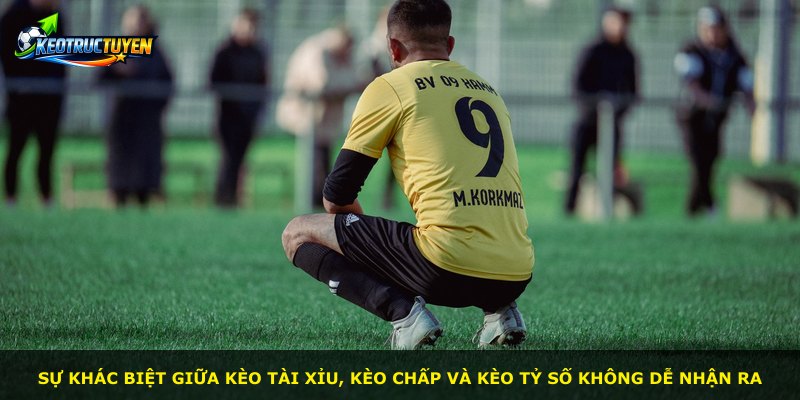 Sự khác biệt giữa kèo Tài Xỉu, kèo chấp và kèo tỷ số không dễ nhận ra