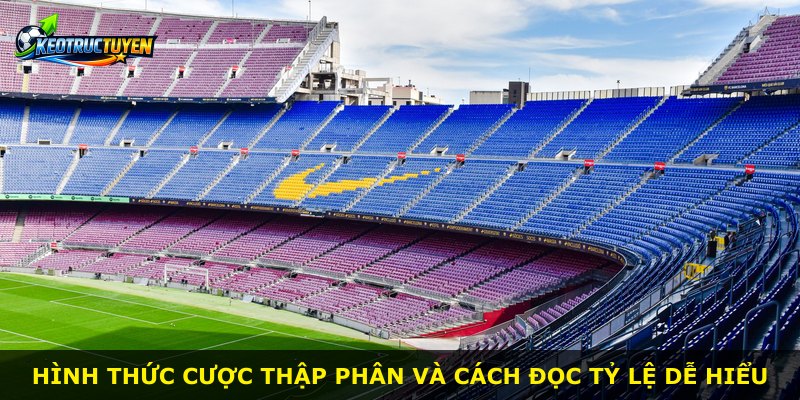 Hình thức cược thập phân và cách đọc tỷ lệ dễ hiểu