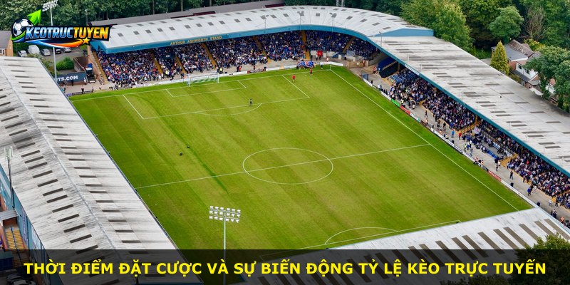 Thời điểm đặt cược và sự biến động tỷ lệ kèo trực tuyến