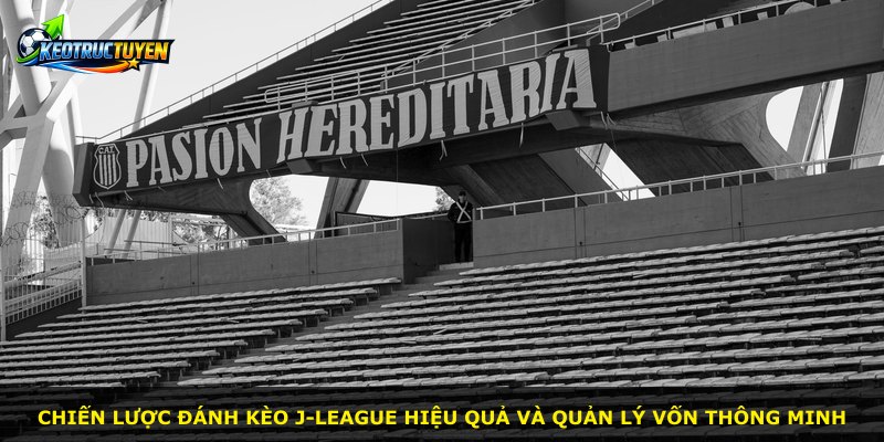 Chiến lược đánh kèo J-league hiệu quả và quản lý vốn thông minh
