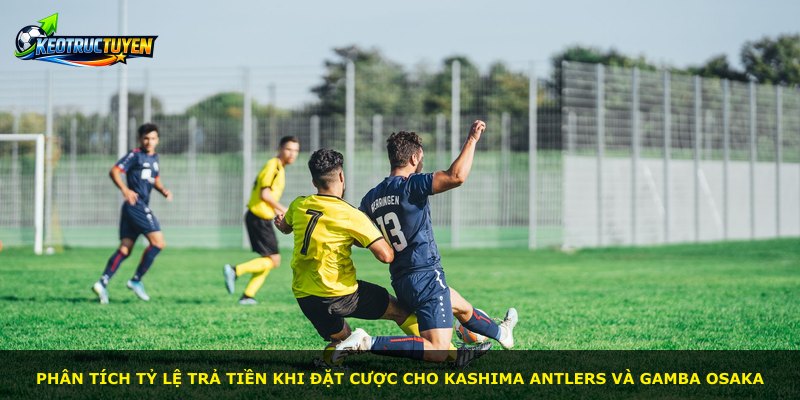 Phân tích tỷ lệ trả tiền khi đặt cược cho Kashima Antlers và Gamba Osaka