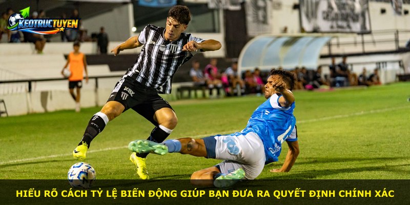 Hiểu rõ cách tỷ lệ biến động giúp bạn đưa ra quyết định chính xác