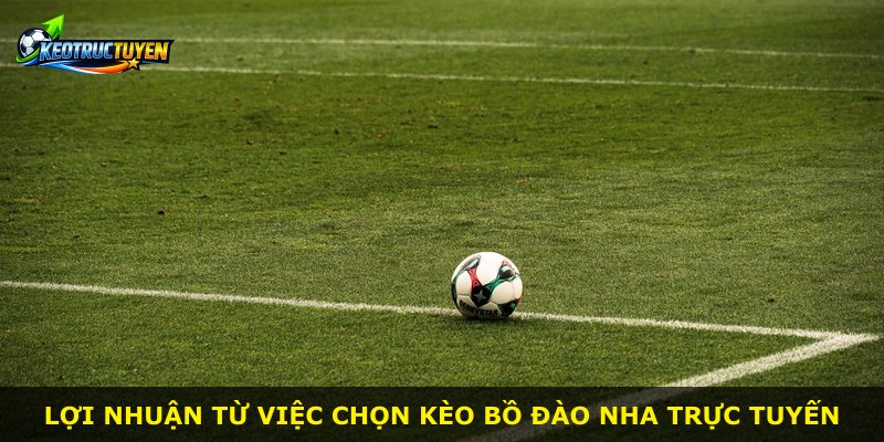 Lợi nhuận từ việc chọn kèo Bồ Đào Nha trực tuyến