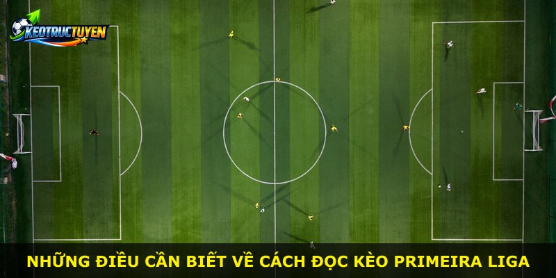 Những điều cần biết về cách đọc kèo Primeira Liga