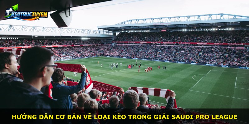 Hướng dẫn cơ bản về loại kèo trong giải Saudi Pro League