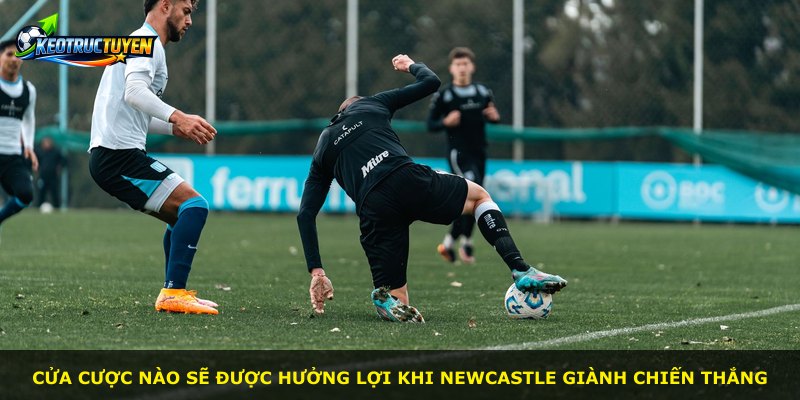 Cửa cược nào sẽ được hưởng lợi khi Newcastle giành chiến thắng