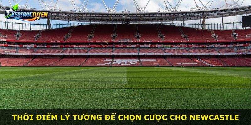 Thời điểm lý tưởng để chọn cược cho Newcastle