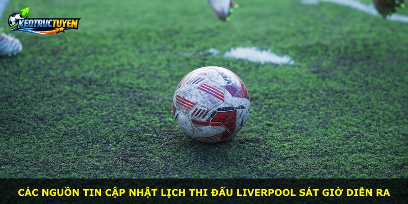Các nguồn tin cập nhật lịch thi đấu Liverpool sát giờ diễn ra