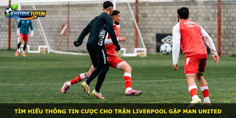 Tìm hiểu thông tin cược cho trận Liverpool gặp Man United