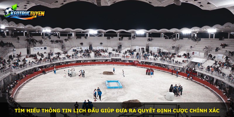 Tìm hiểu thông tin lịch đấu giúp đưa ra quyết định cược chính xác