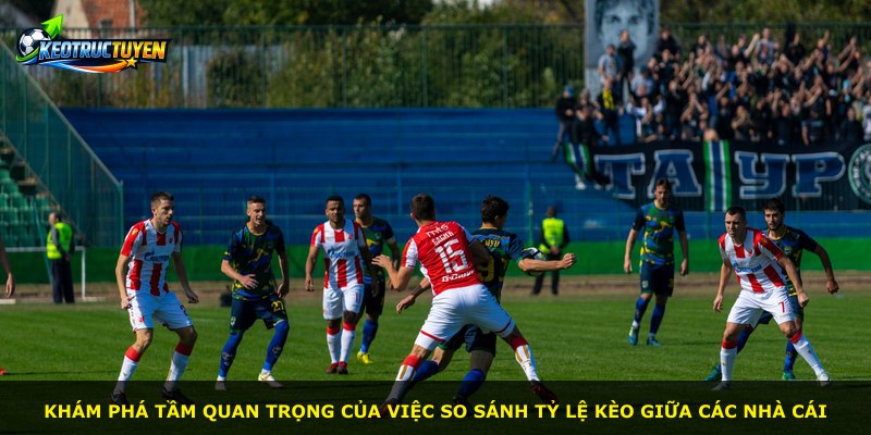 Khám phá tầm quan trọng của việc so sánh tỷ lệ kèo giữa các nhà cái