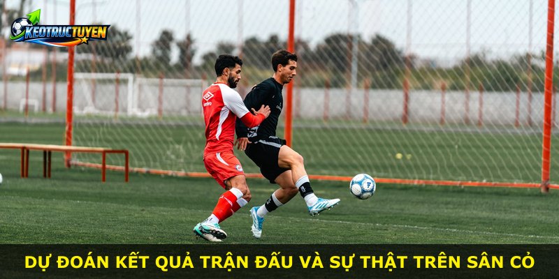 Dự đoán kết quả trận đấu và sự thật trên sân cỏ