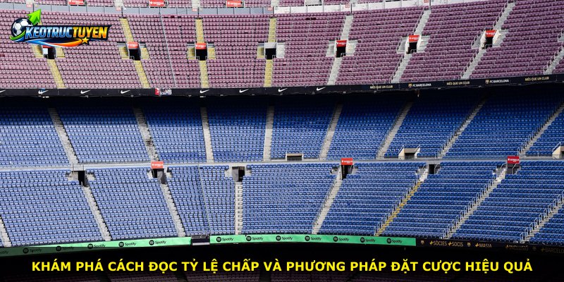 Khám phá cách đọc tỷ lệ chấp và phương pháp đặt cược hiệu quả