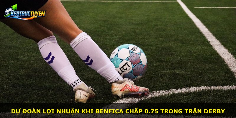 Dự đoán lợi nhuận khi Benfica chấp 0.75 trong trận derby