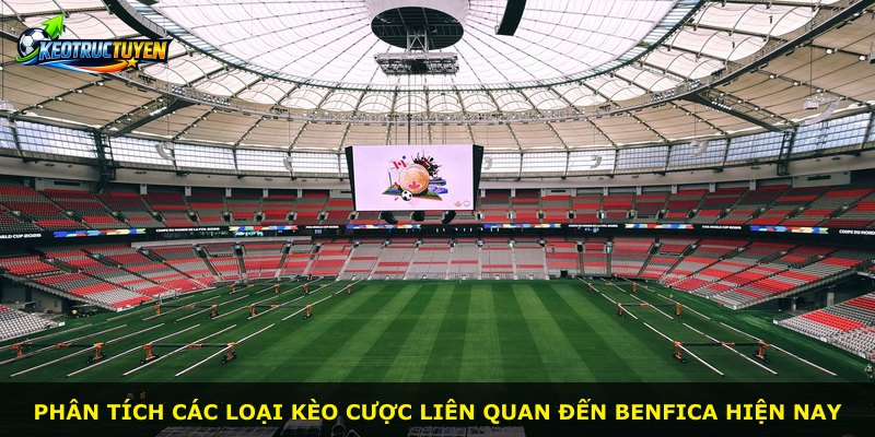 Phân tích các loại kèo cược liên quan đến Benfica hiện nay