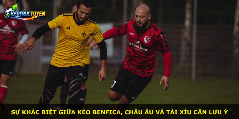 Sự khác biệt giữa kèo Benfica, châu Âu và tài xỉu cần lưu ý