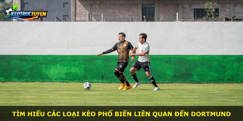 Tìm hiểu các loại kèo phổ biến liên quan đến Dortmund