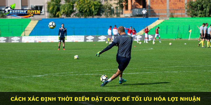 Cách xác định thời điểm đặt cược để tối ưu hóa lợi nhuận