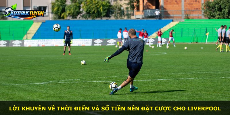 Lời khuyên về thời điểm và số tiền nên đặt cược cho Liverpool