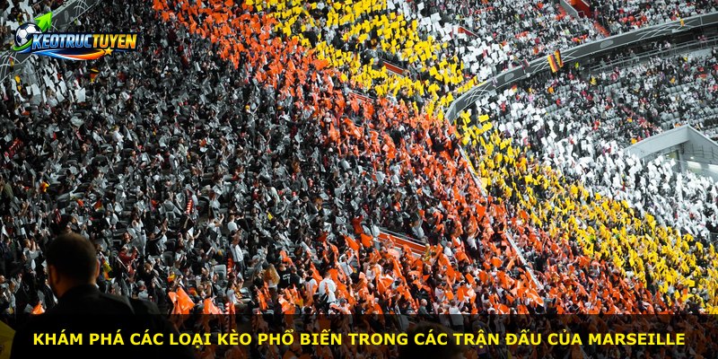 Khám phá các loại kèo phổ biến trong các trận đấu của Marseille