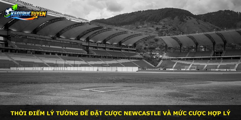 Thời điểm lý tưởng để đặt cược Newcastle và mức cược hợp lý