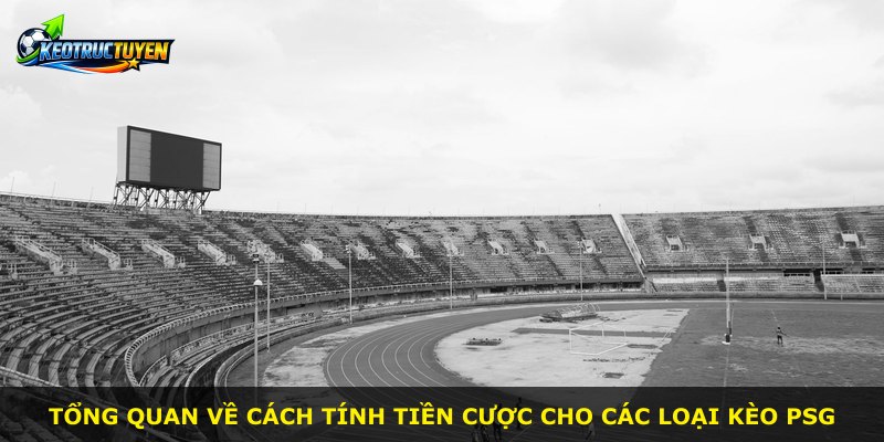 Tổng quan về cách tính tiền cược cho các loại kèo PSG